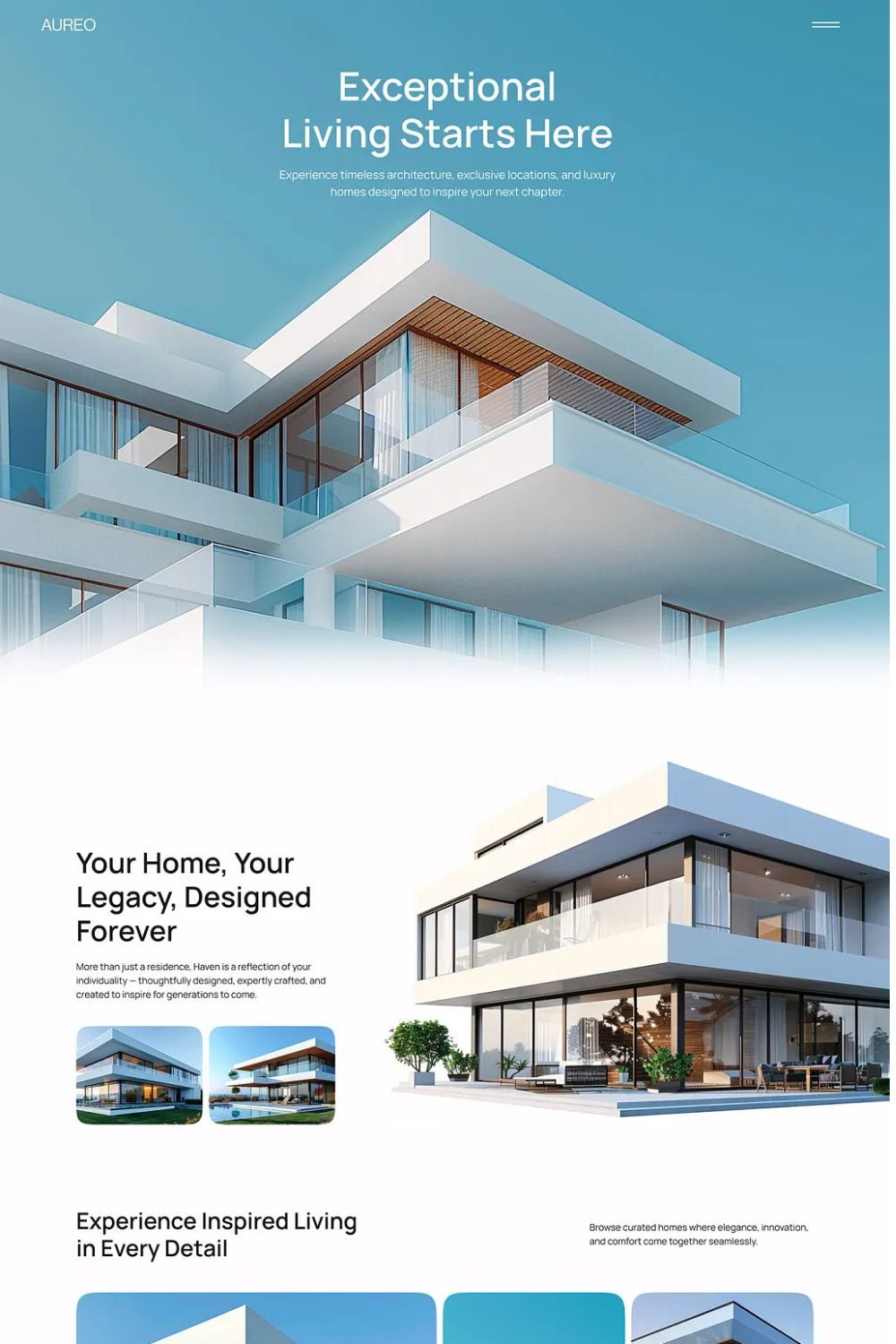 Website Project 3